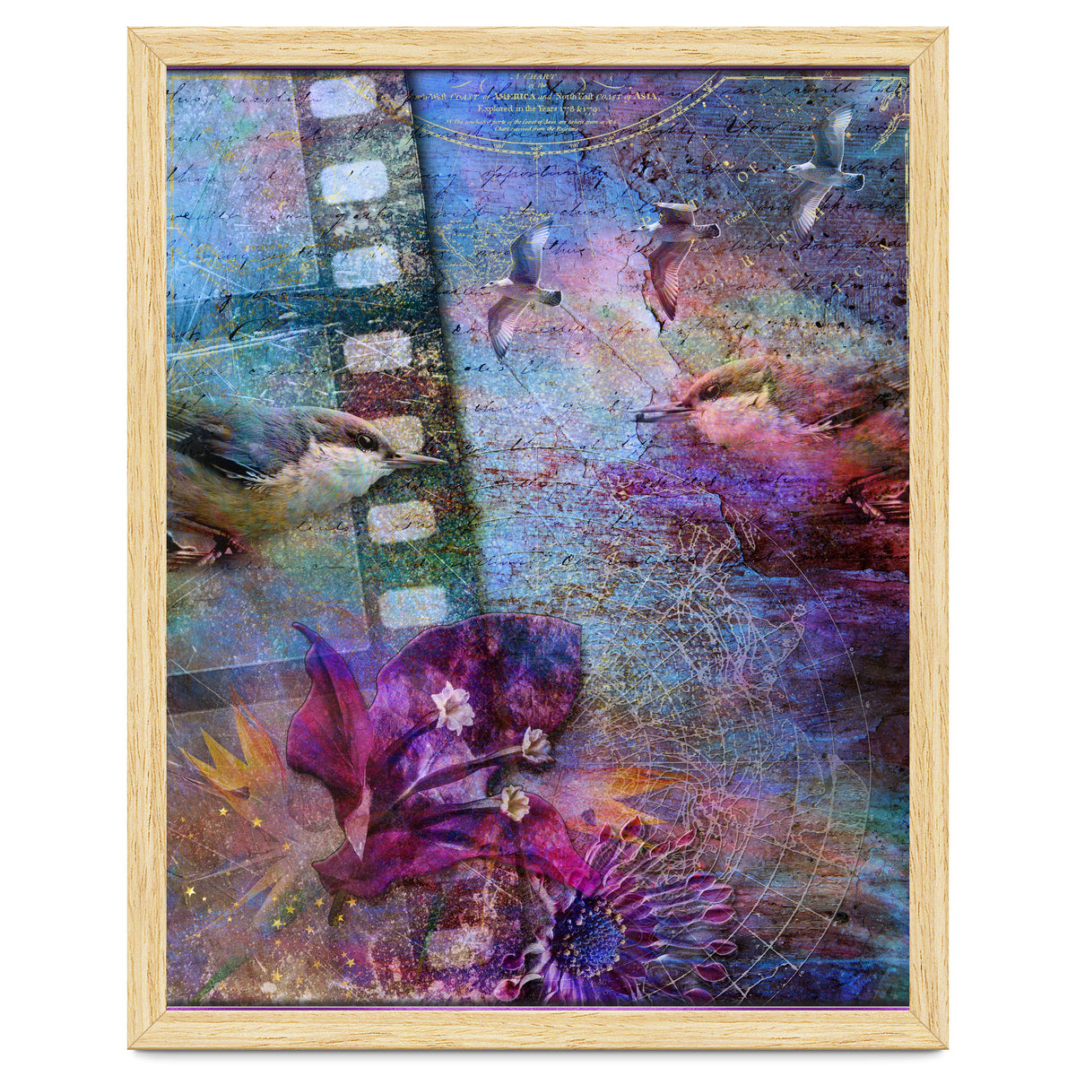 Watching the Wild World