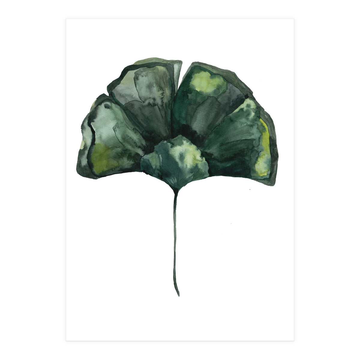 Botanical Illustration Ginko (Print Only)
