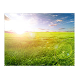Nature (Print Only) thumbnail