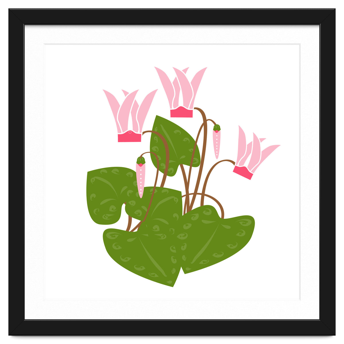 Cascading Cyclamen