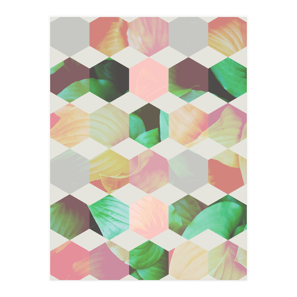 Epsilon (Print Only)