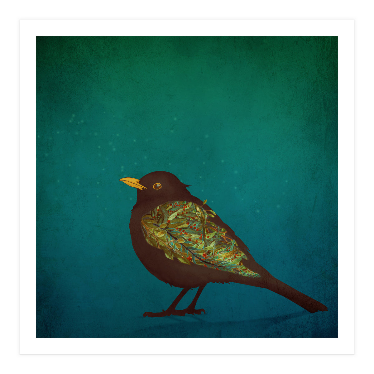 Camouflage: The Blackbird (Print Only)