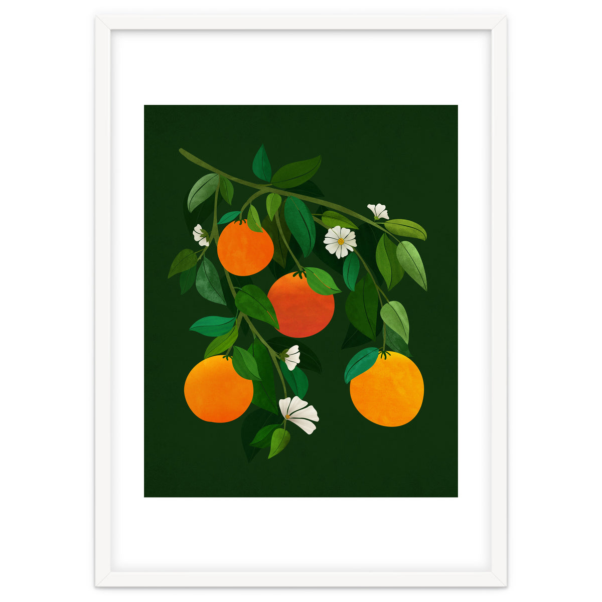 Oranges and Blossoms