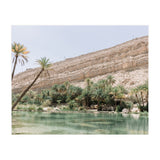 Tropical Oasis (Print Only) thumbnail