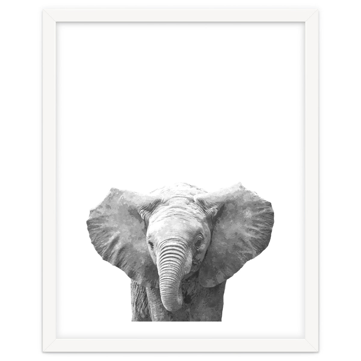 Black and White Baby Elephant