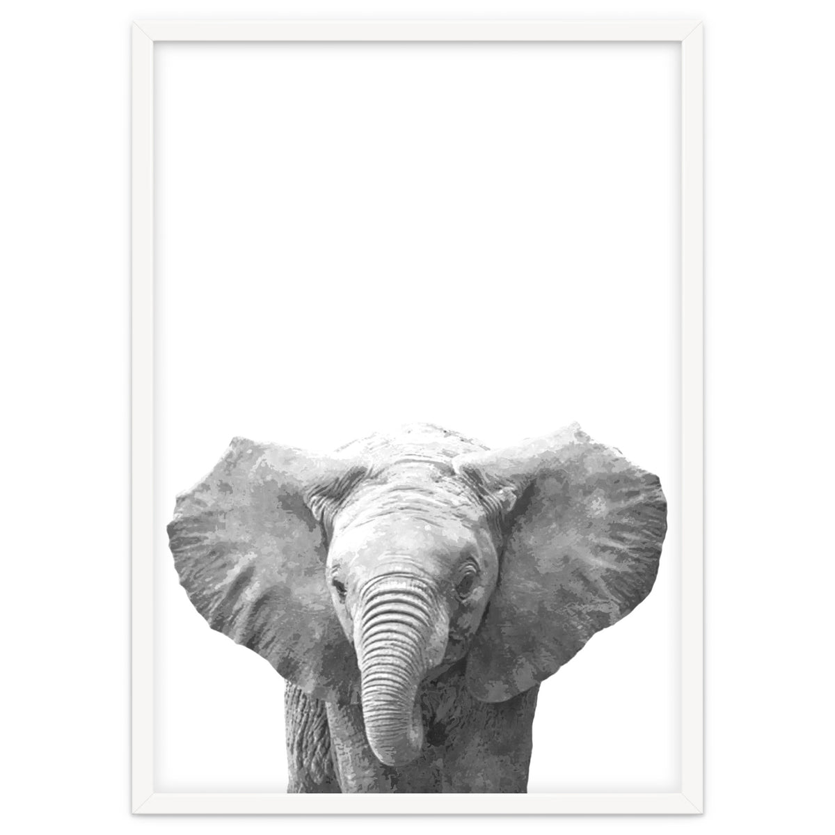 Black and White Baby Elephant