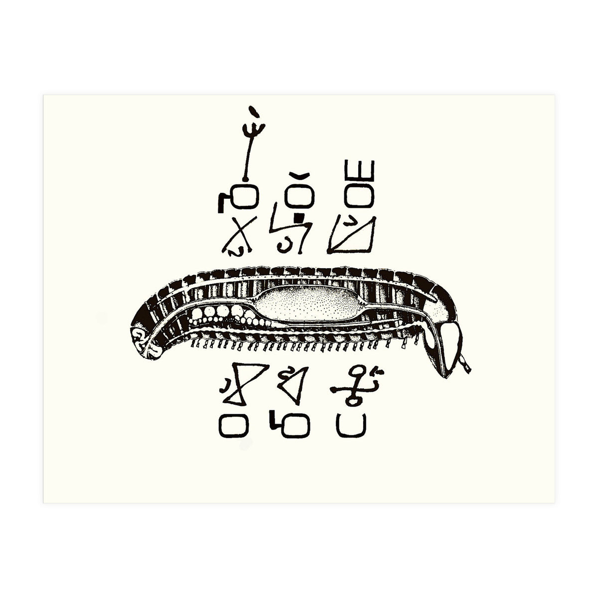 Diplopod David Felix (Print Only)