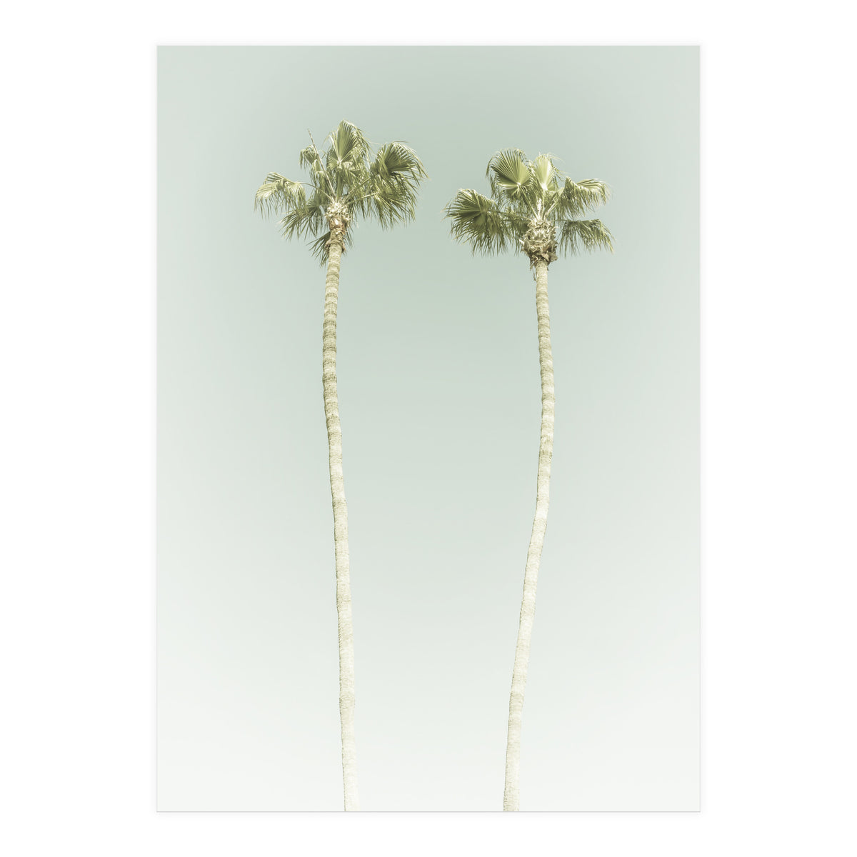 Vintage Palm Trees  (Print Only)