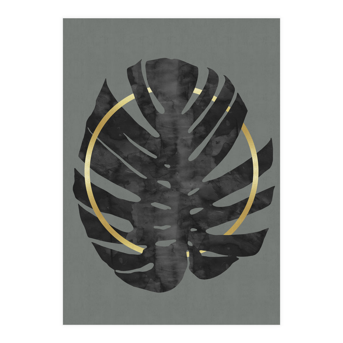 Monstera Deliciosa I (Print Only)