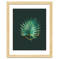 Tropical Palm Leaf 02