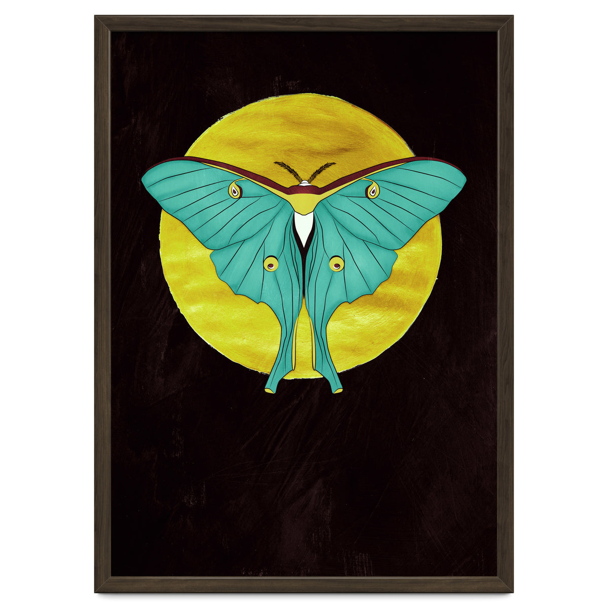 Luna Moth Moon