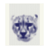Lioness 2018 (Print Only) thumbnail