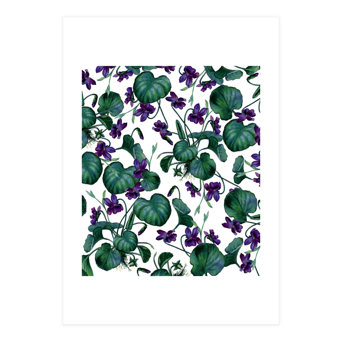 Violets (Print Only)