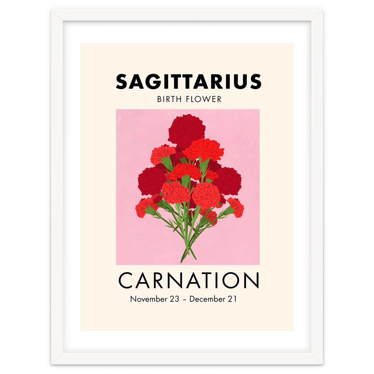 Sagittarius Birth Flower Carnation