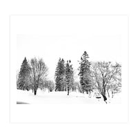 Norwegian Winter (Print Only)