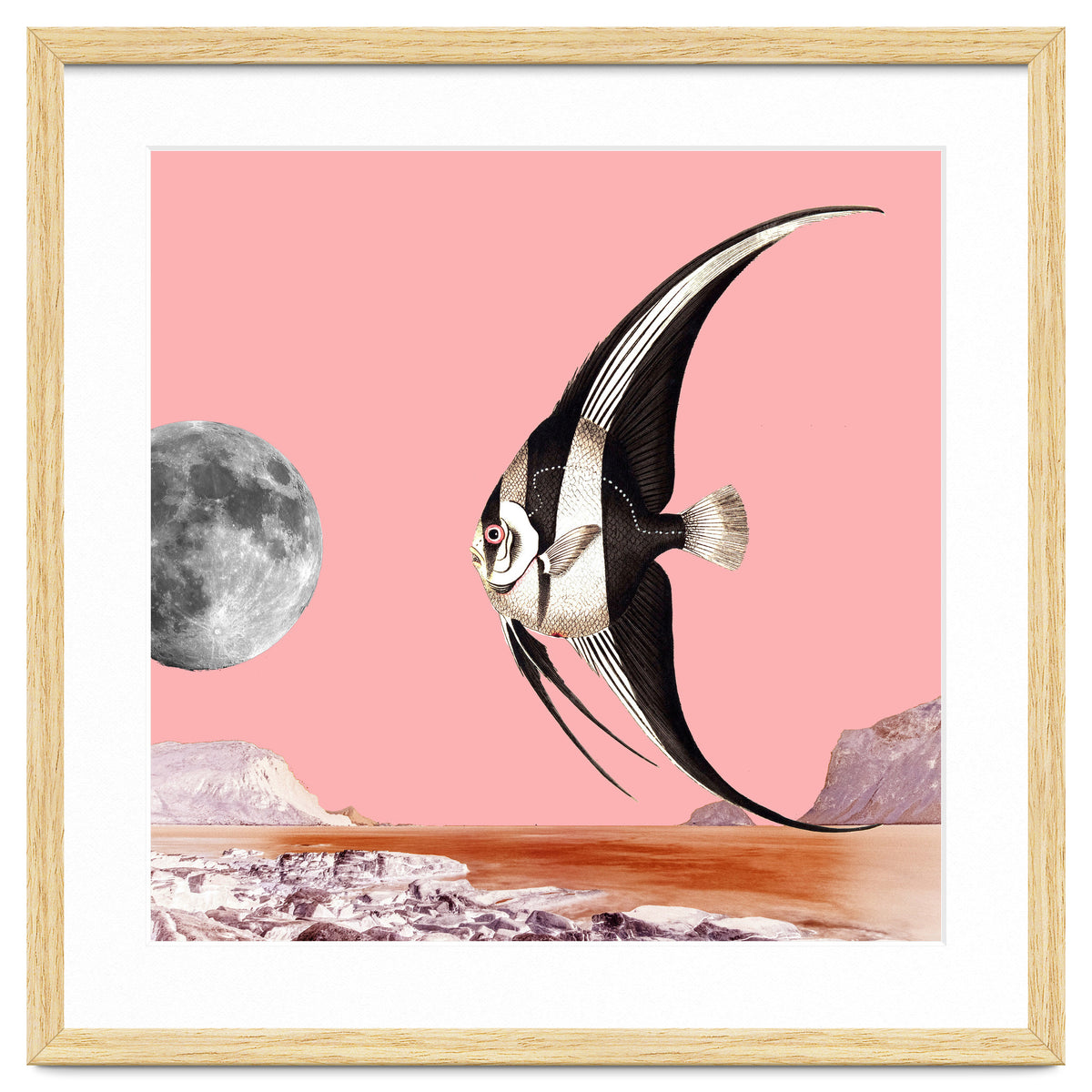 Plenty Of Fish In The Sea Pink