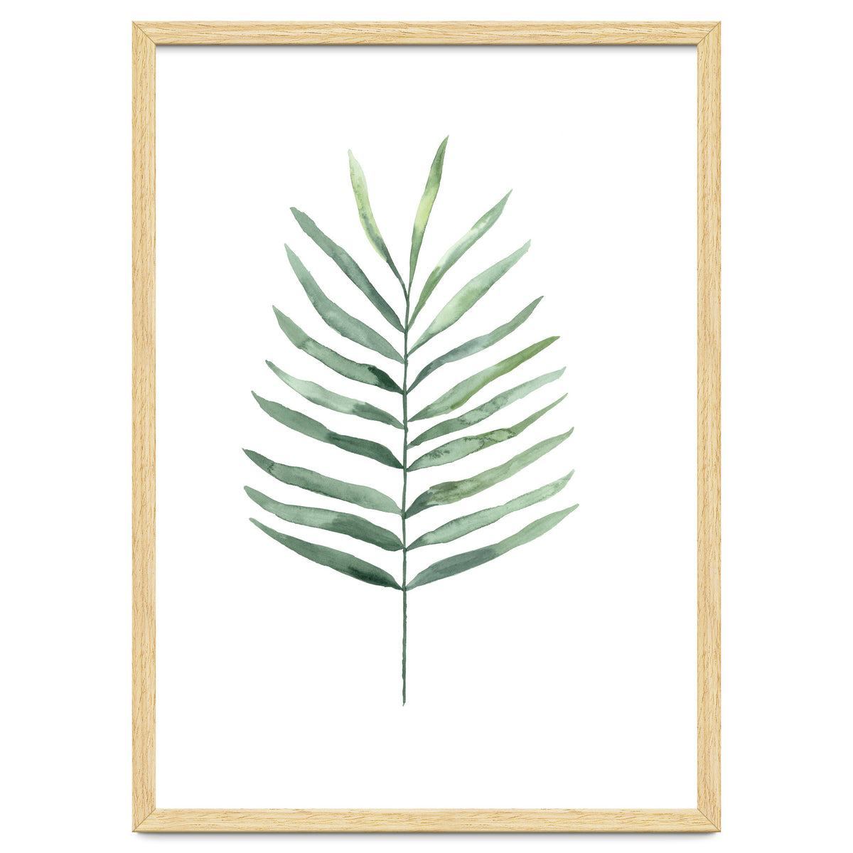 Botanical Illustration Fern