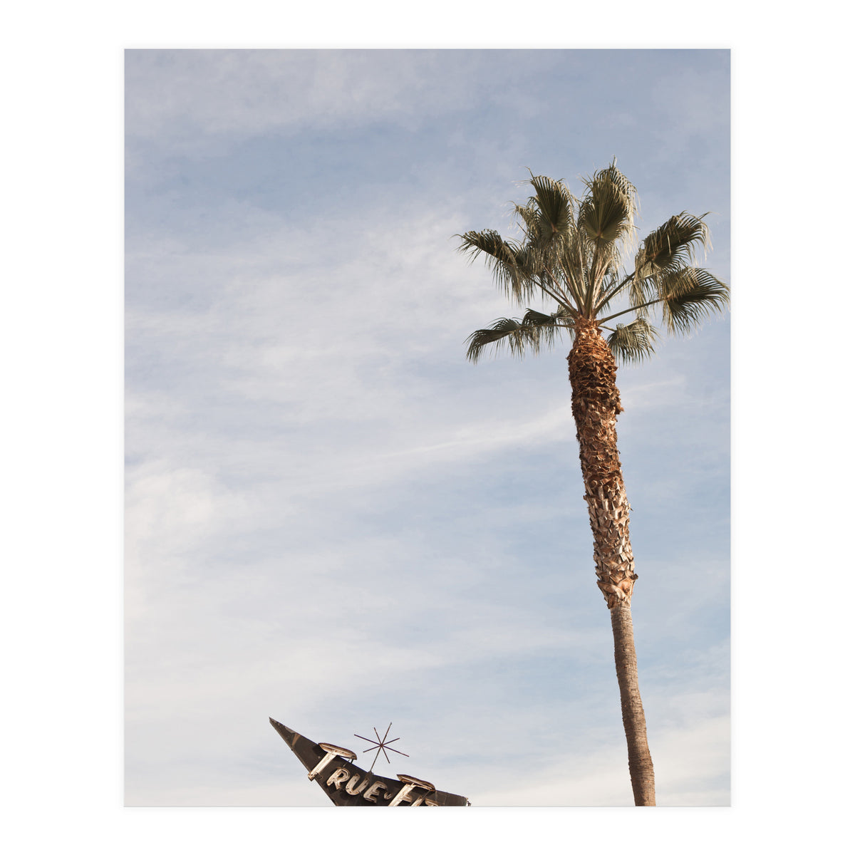 True Fit (Print Only)