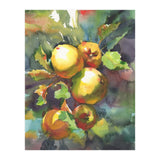 Apples on a branch (Print Only) thumbnail