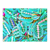 Let's find a beautiful place to get lost (Print Only) thumbnail