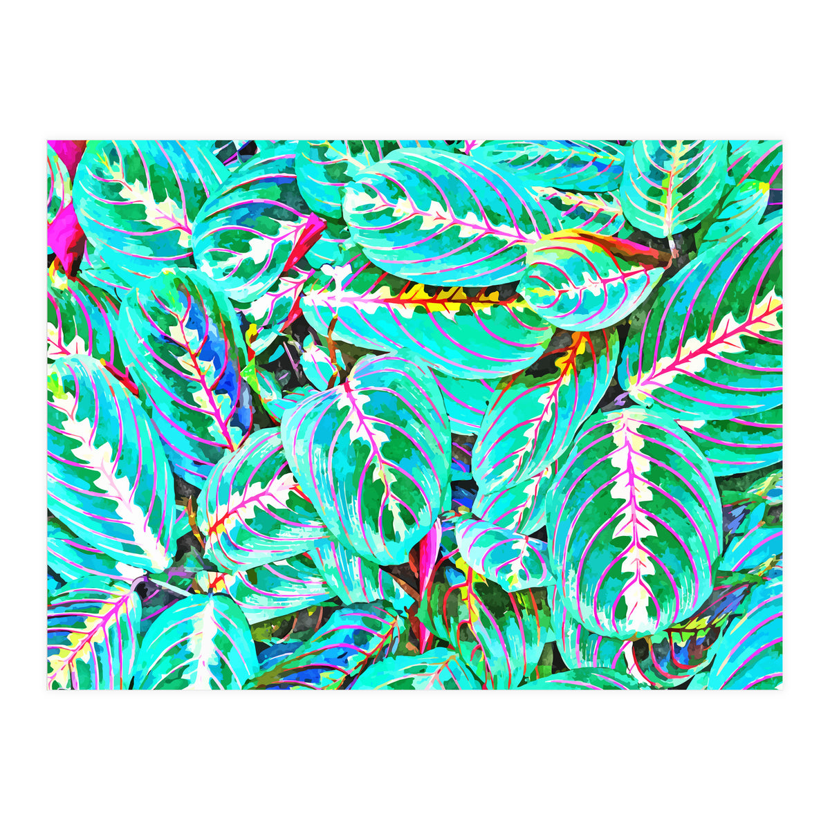 Let's find a beautiful place to get lost (Print Only)