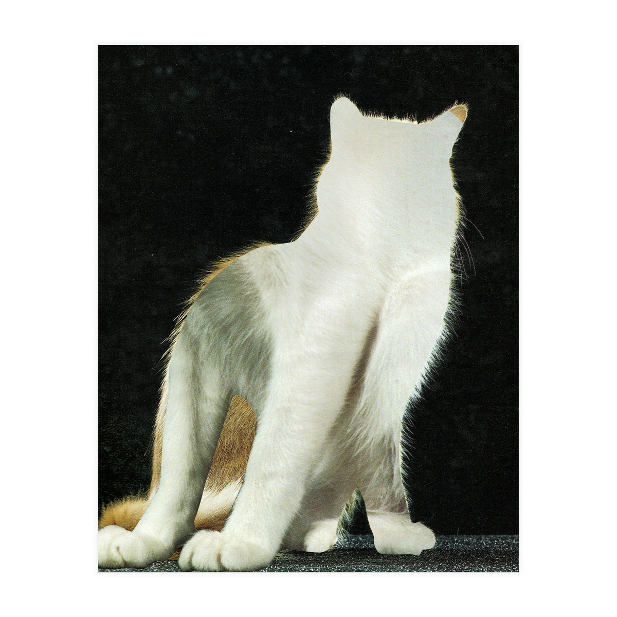 KatzenJammer 11 (Print Only)