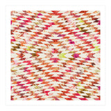 Floral Explosion (Print Only) thumbnail