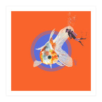 Koi Carp N Diver (Print Only)