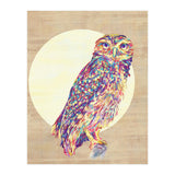 Owl (Print Only) thumbnail