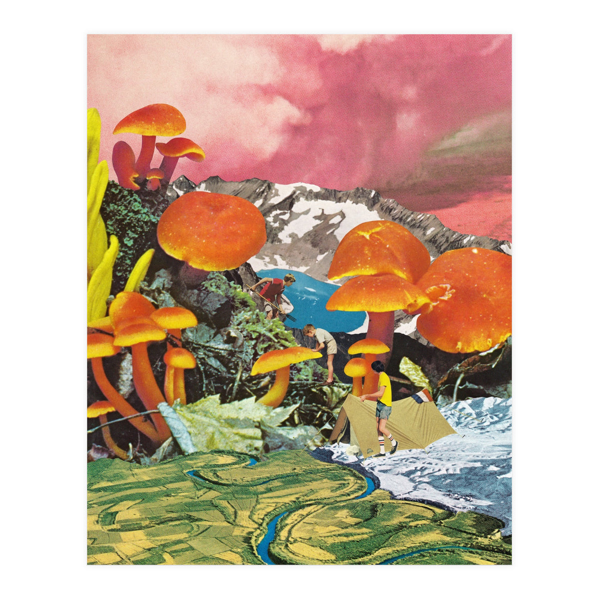 Mushroom Valley (Print Only)