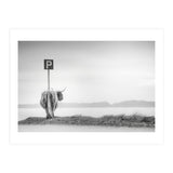 Highland Visitor (Print Only) thumbnail