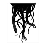 Snakes (Print Only) thumbnail