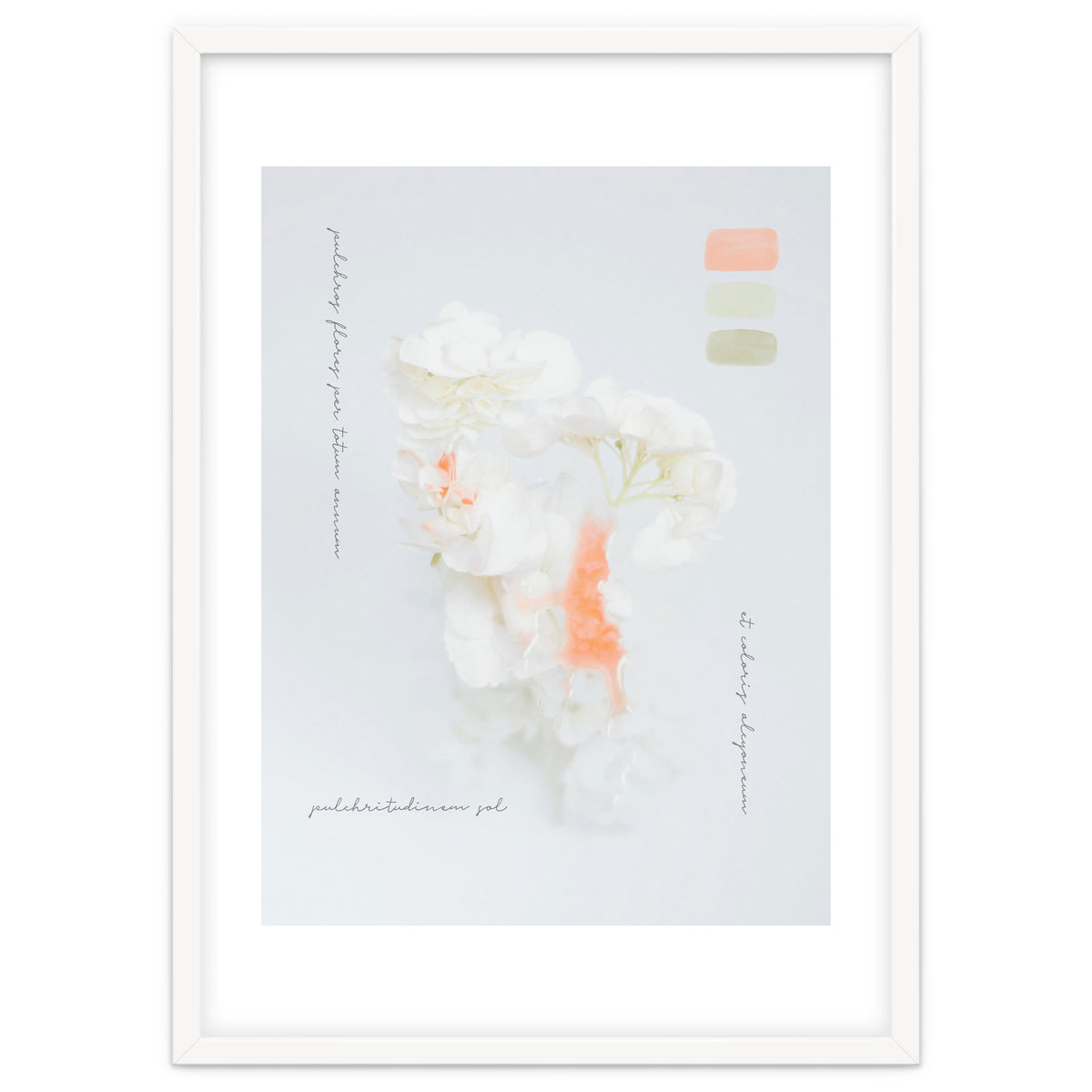 Modern Vintage Botanic