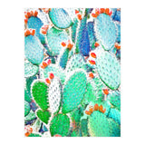 Painted Cactus (Print Only) thumbnail