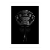Snake lines (Print Only) thumbnail