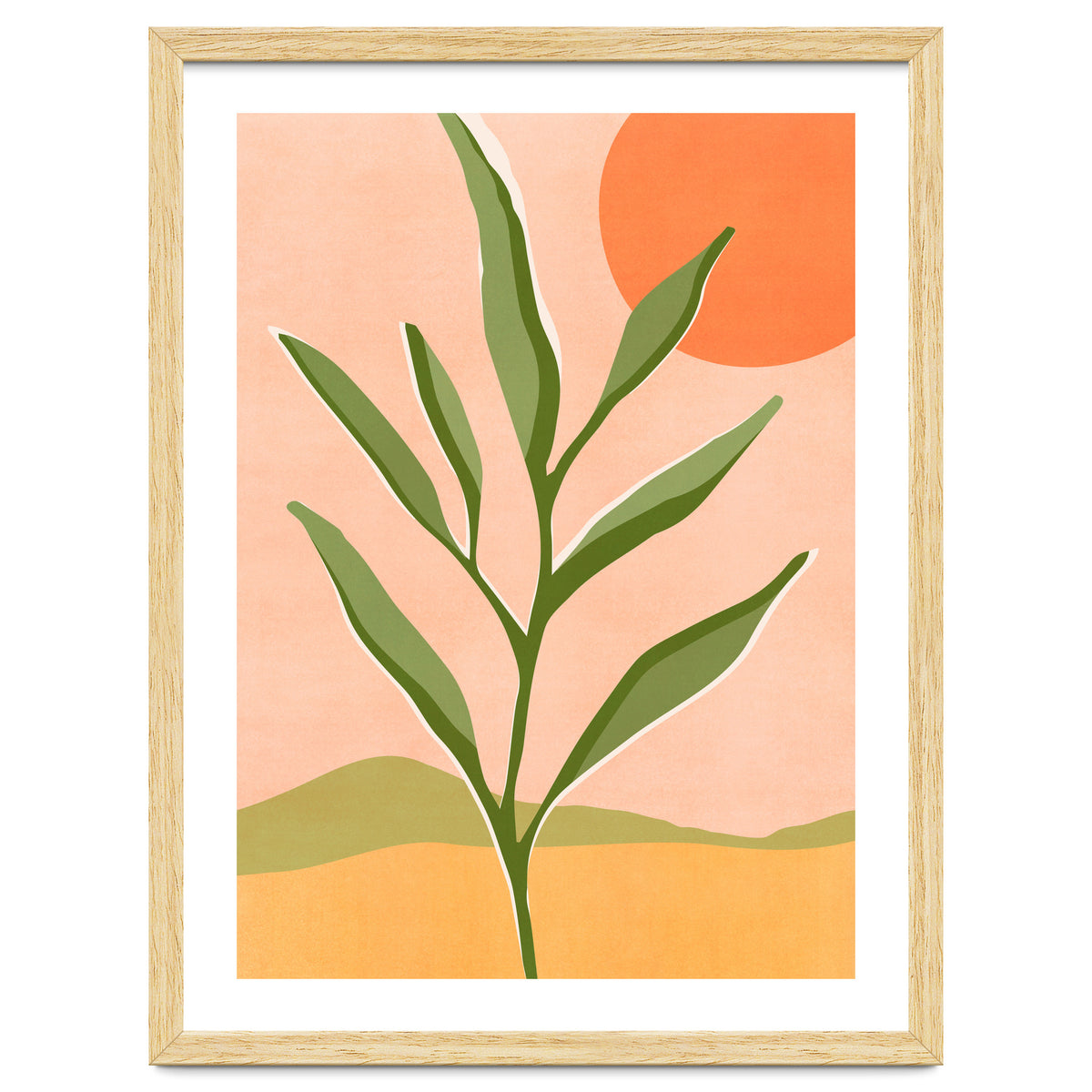 The Sun and The Succulent