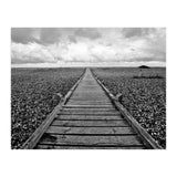 Dungeness, England (Print Only) thumbnail