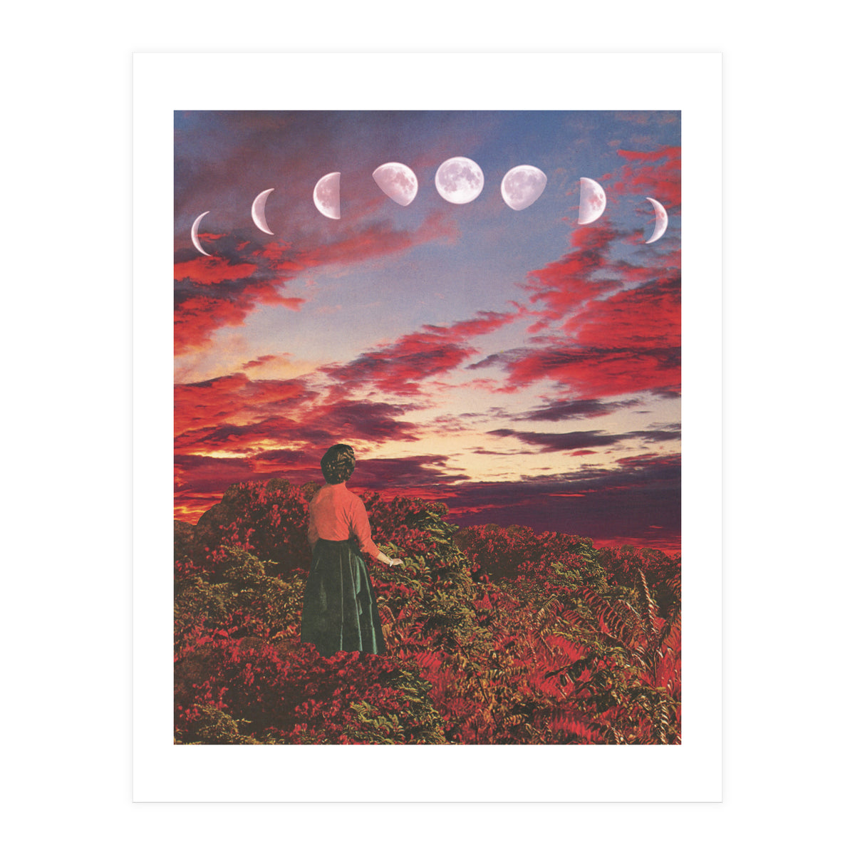 Crimson Paradise (Print Only)