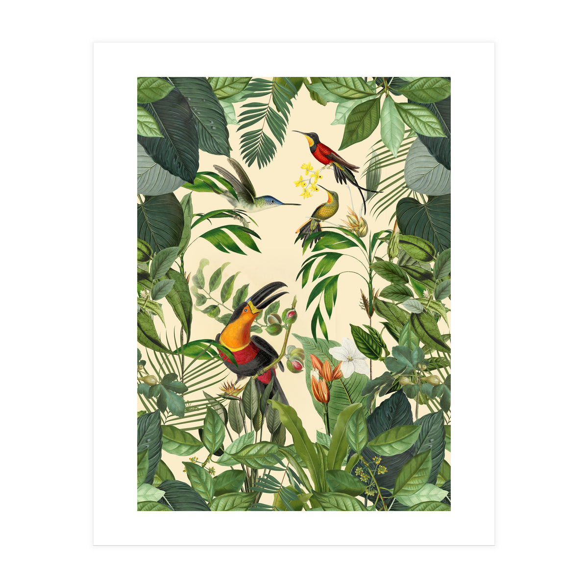 Green Jungle Toucans (Print Only)