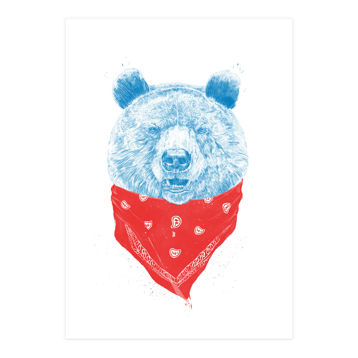 Wild Bear Color Version (Print Only)