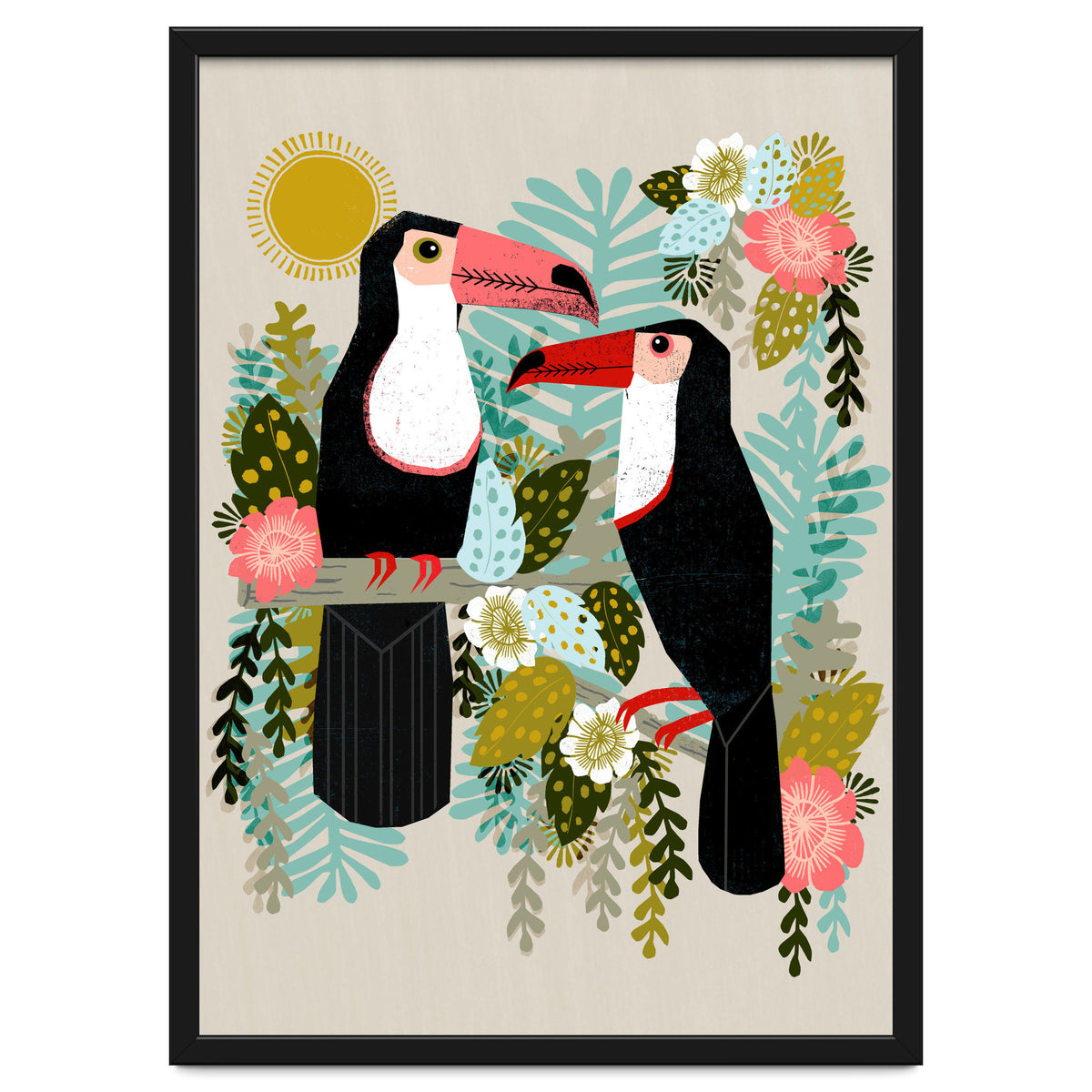 Toucans