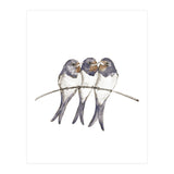 Three young swallows (Print Only) thumbnail