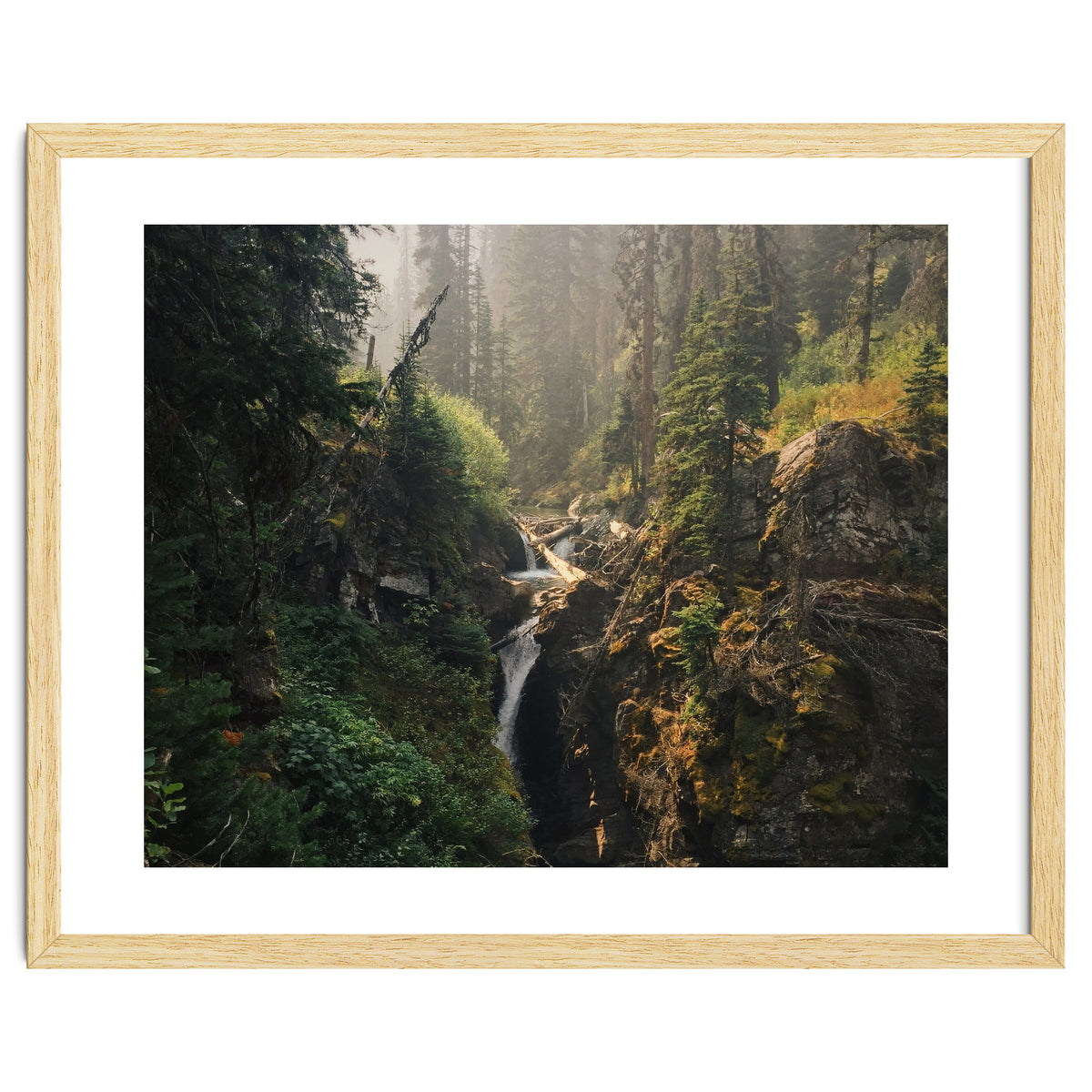 Glacier National Park I