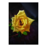 Yellow Flora (Print Only) thumbnail