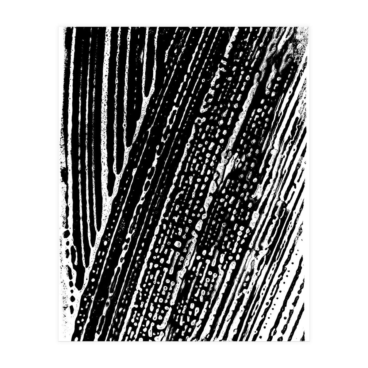 Dizzy 2 (Print Only)