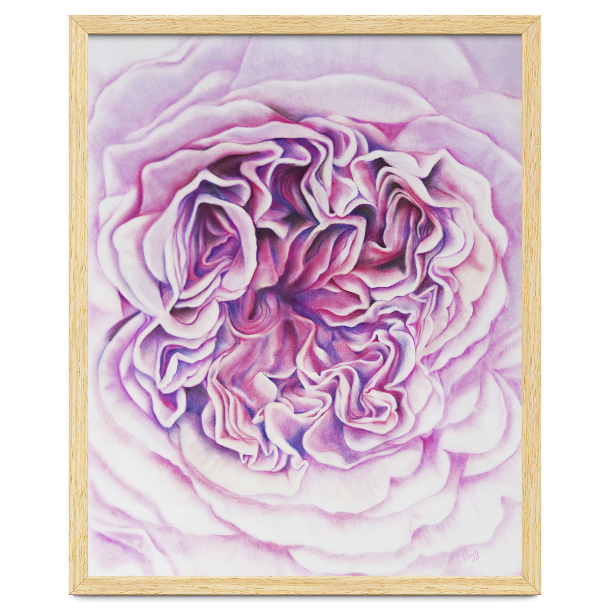 A Rose Is A Rose Std