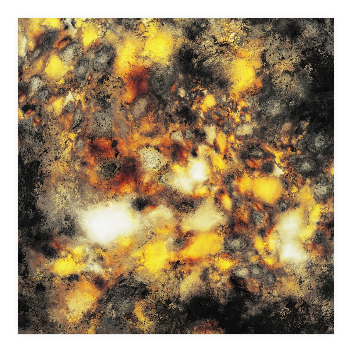 Embers (Print Only)
