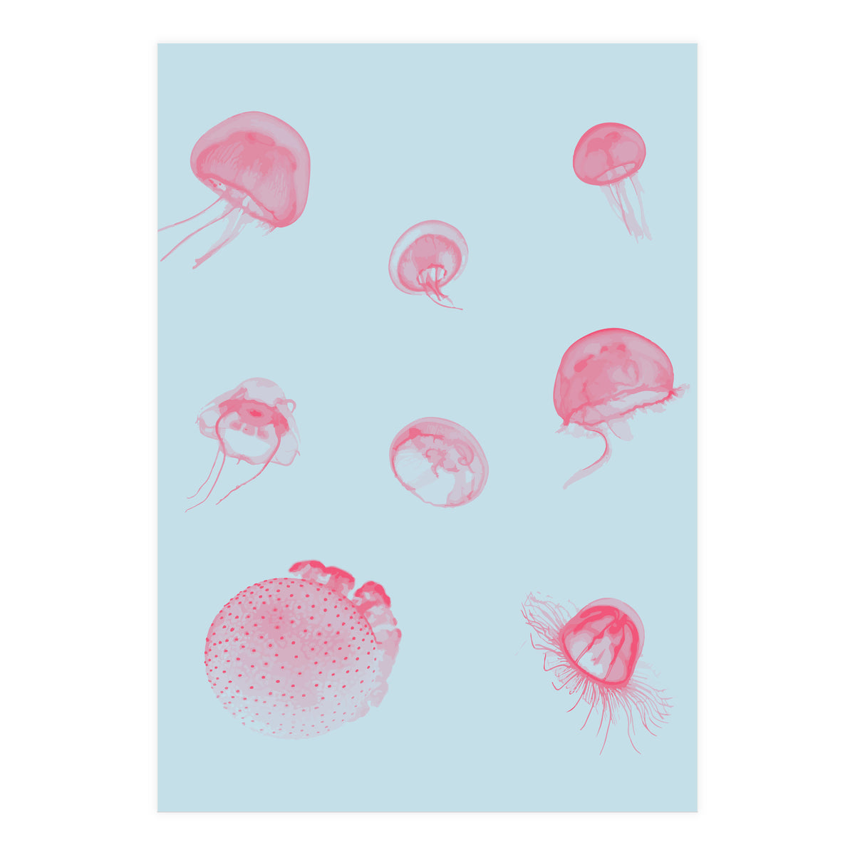 Jellyfish (Print Only)