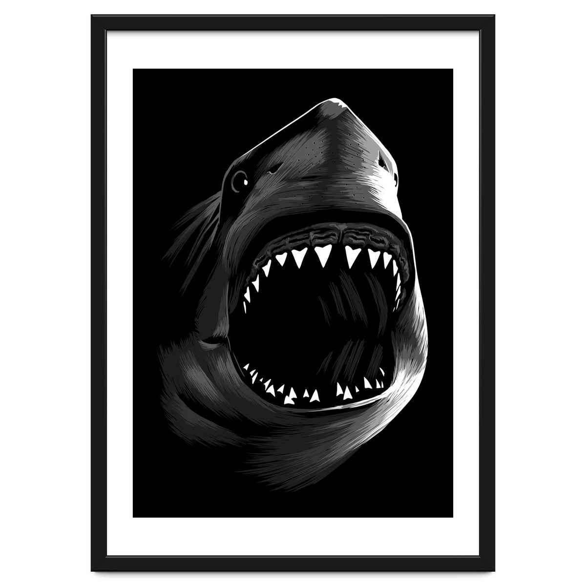 Megalodon