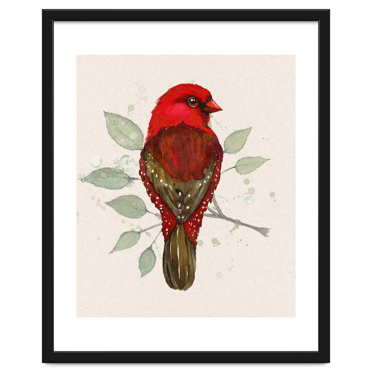 Red avadavat watercolor